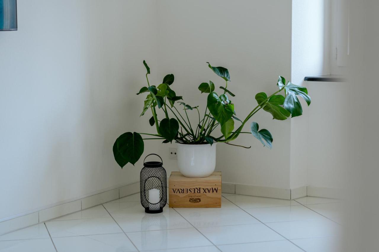 Apartment In The Center With Free Parking